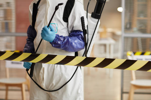 Professional Sewage Cleanup technician working in Minden, NE